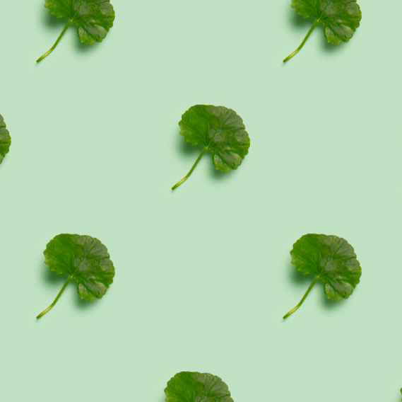 Is CICA overhyped in K-beauty? - Fresh Mask Korean Beauty