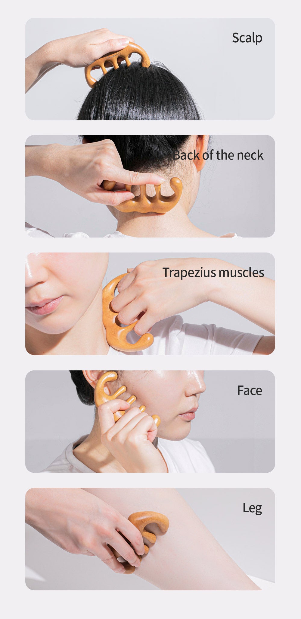 [Benton] Scalp Brush Massager